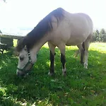 Farmház Rauhbergerhof