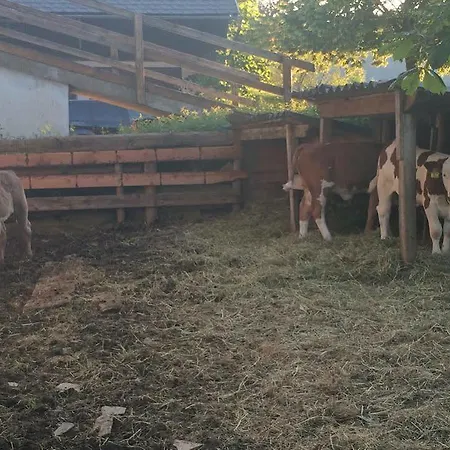 Vakantieboerderij Rauhbergerhof Tiefgraben