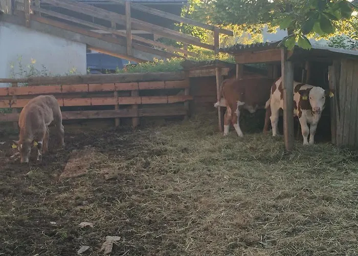 Vakantieboerderij Rauhbergerhof Tiefgraben