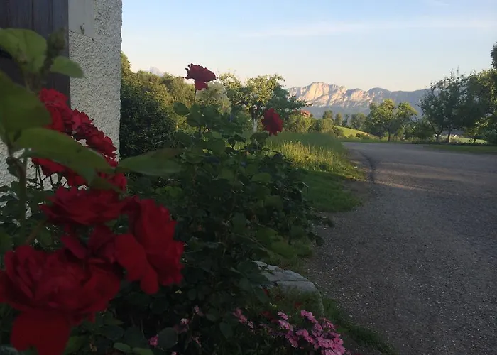 Lantgård Rauhbergerhof *